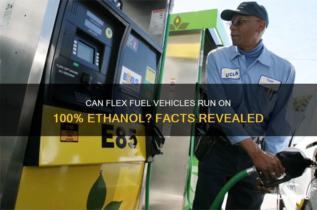 can flex fuel vehicles run on 100 ethanol