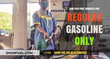 Can Flex Fuel Vehicles Run on Regular Gasoline Only?