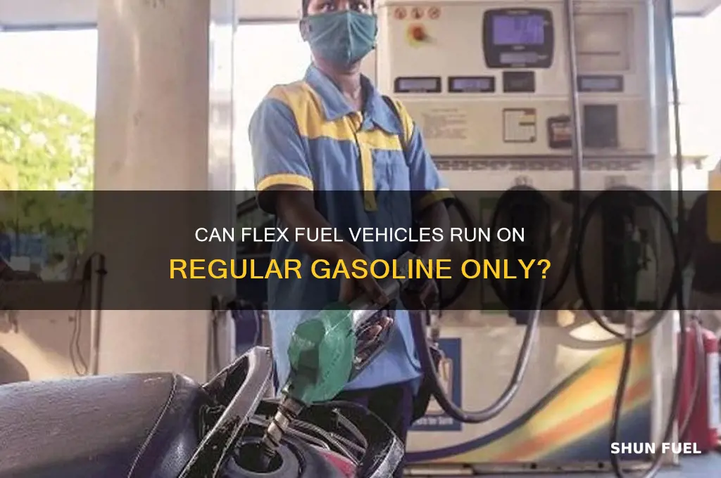can flex fuel vehicles use regular gasoline only
