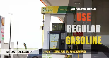 Can Flex Fuel Vehicles Run on Regular Gasoline? Find Out