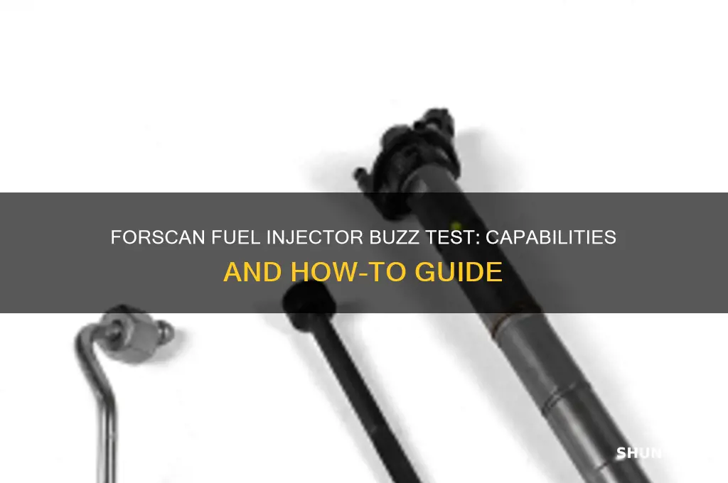can forscan do fuel inejector buzz test