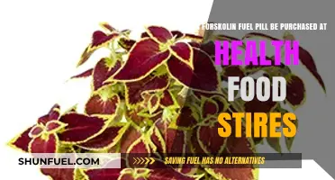 Forskolin Fuel Pills: Availability at Health Food Stores Explained