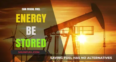 Storing Fossil Fuel Energy: Is It Possible?