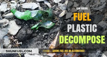 Fossil Fuel Plastic: Can It Decompose?