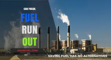Fossil Fuels: Finite Resources, Infinite Problems