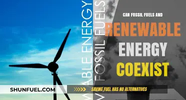 Fossil Fuels and Green Energy: Friends or Foes?