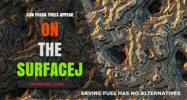How Fossil Fuels Reach the Surface