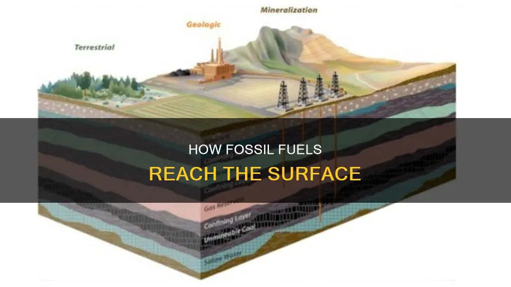 can fossil fuels appear on the surfacej