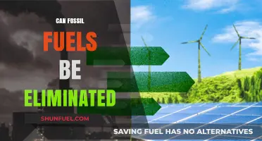 The End of Fossil Fuels: Possible or Pipe Dream?