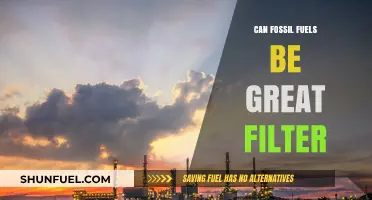 Fossil Fuels: The Great Filter Challenge