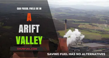 Fossil Fuels in Rift Valleys: A Geologic Oddity