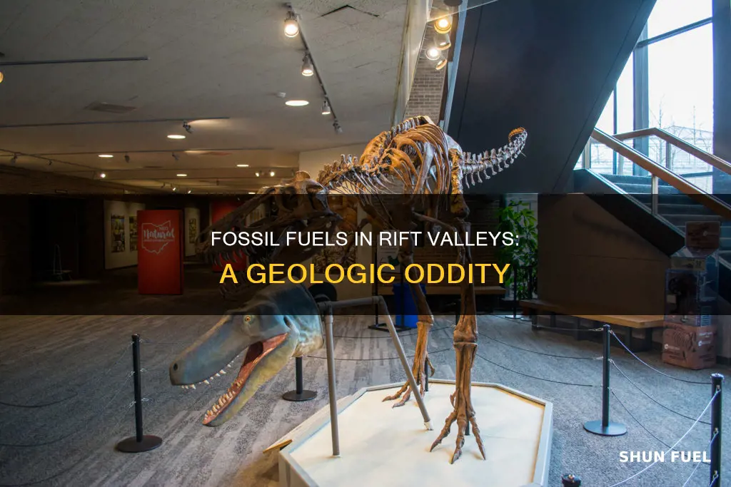 can fossil fuels be in a arift valley