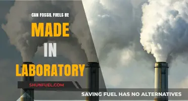 Creating Fossil Fuels: A Lab-Made Future?