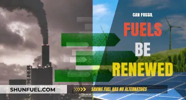 The Myth of Renewable Fossil Fuels