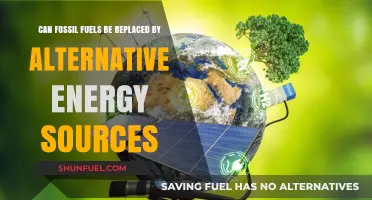 Transitioning Beyond Fossil Fuels: The Viability of Alternative Energy Sources