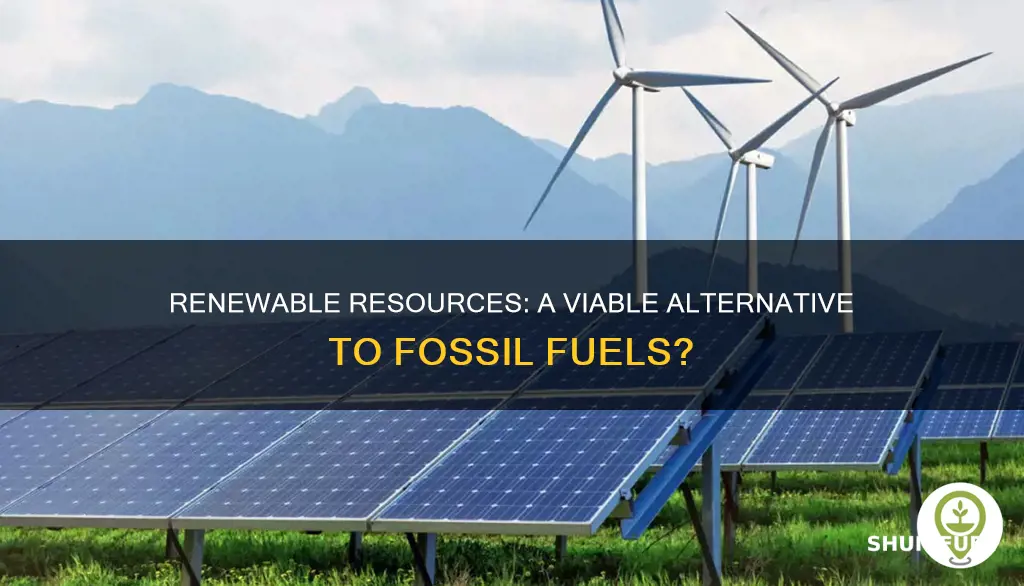 can fossil fuels be replaced by renewable resources