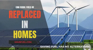 Fossil Fuels: Can We Replace Them in Our Homes?