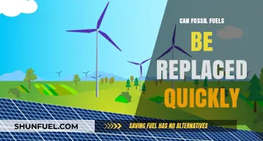 Can We Rapidly Replace Fossil Fuels with Renewable Energy?