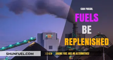 Are Fossil Fuels Renewable? Exploring Replenishment Possibilities and Realities