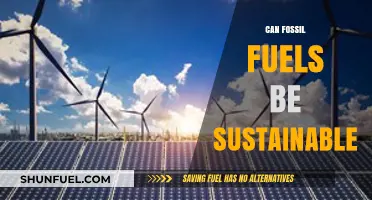 Can Fossil Fuels Be Sustainable? Exploring the Possibilities and Limits