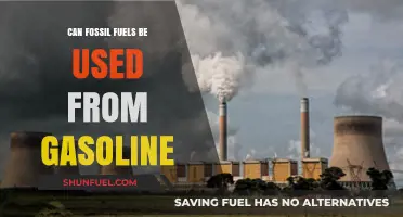 Fossil Fuels: Gasoline's Past and Future