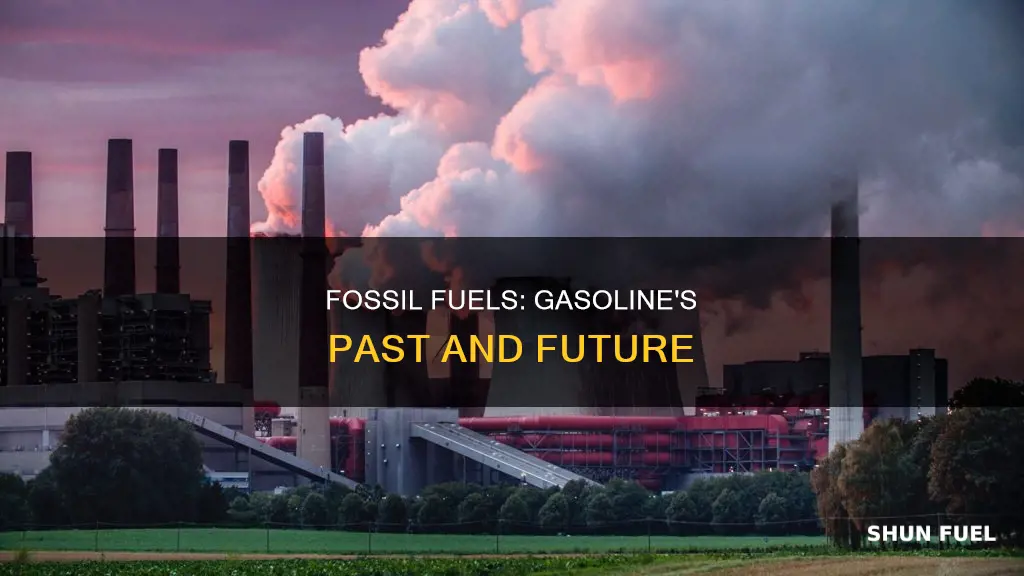 can fossil fuels be used from gasoline