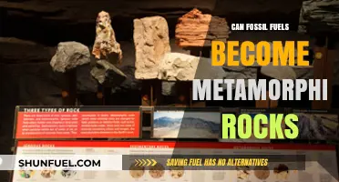 Fossil Fuels to Metamorphic Rocks: Unraveling Earth's Geological Transformation