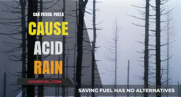 How Fossil Fuels Cause Acid Rain