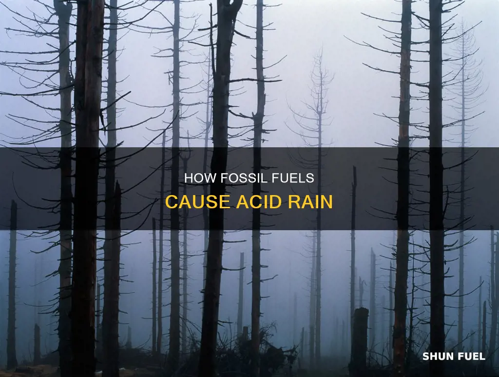can fossil fuels cause acid rain