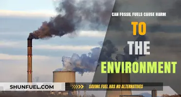 Fossil Fuels: Environmental Harm and Our Future