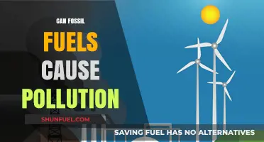 Fossil Fuels and Pollution: Uncovering the Environmental Impact