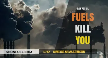 Fossil Fuels: Deadly Killers or Necessary Evil?