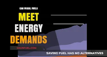Fossil Fuels: Energy Demands and Future Alternatives