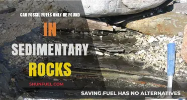 Fossil Fuels and Sedimentary Rocks: Unraveling the Exclusive Connection