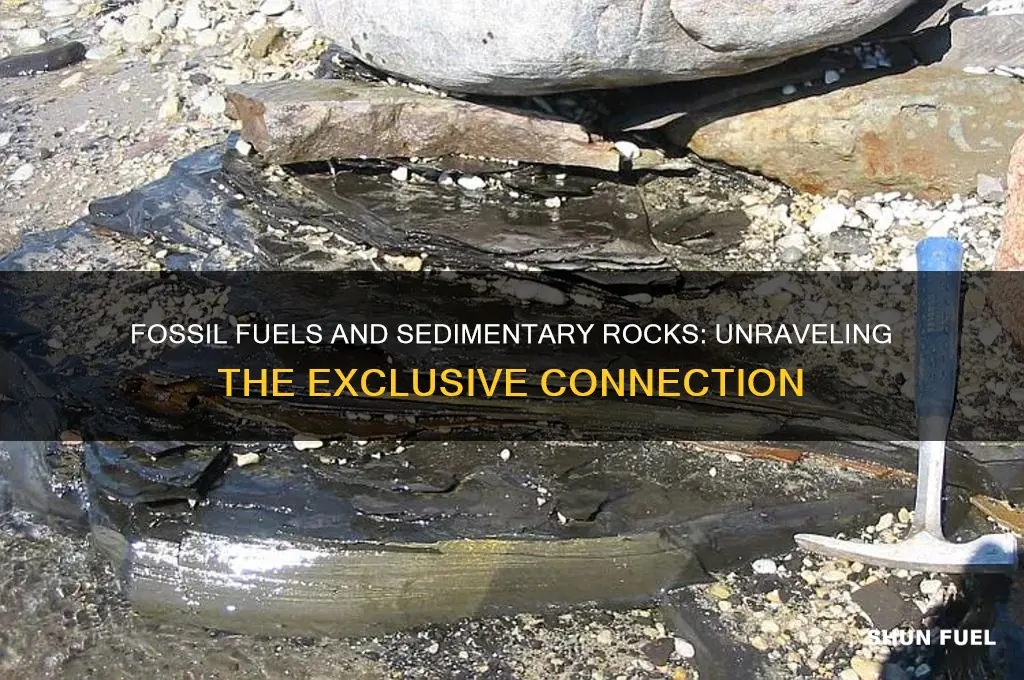 can fossil fuels only be found in sedimentary rocks