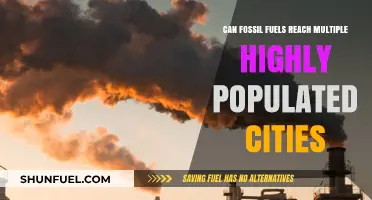 How Fossil Fuels Reach Mega Cities