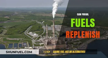 Fossil Fuels: Can They Ever Be Replenished?