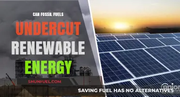 Fossil Fuels: Undercutting Renewable Energy?
