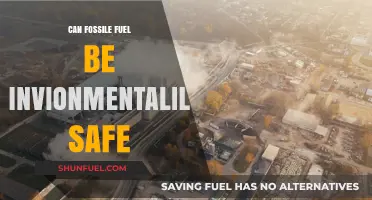 Fossil Fuels: Ever Environmentally Safe?
