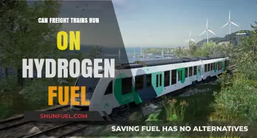 Hydrogen Fuel for Freight Trains: Feasibility and Future Potential