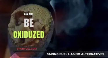 Can Fuel Be Oxidized? Exploring Combustion Chemistry and Reactions