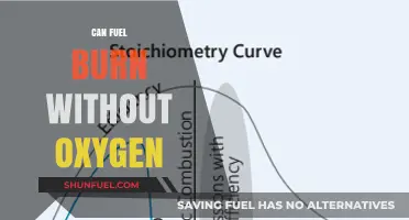 Can Fuel Burn Without Oxygen? Exploring Combustion's Essential Elements
