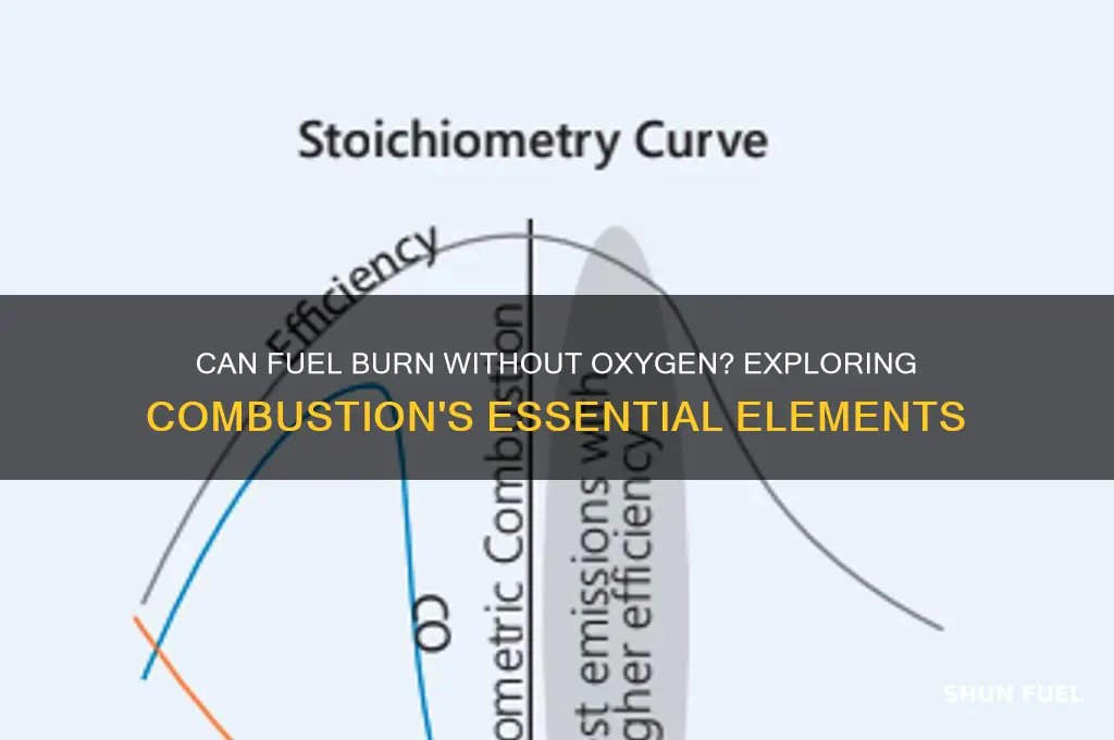 can fuel burn without oxygen