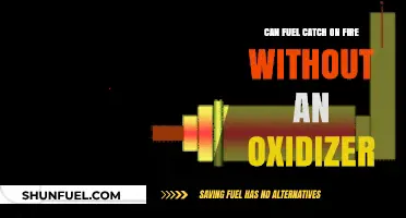 Can Fuel Ignite Without Oxidizer? Exploring Combustion Science