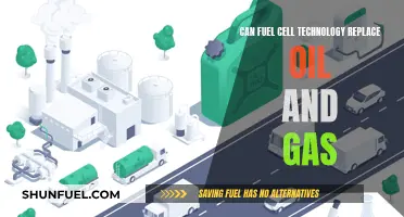 Fuel Cell Technology: The Future Beyond Oil and Gas