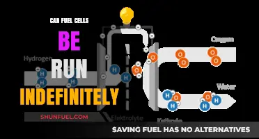 Can Fuel Cells Run Indefinitely? Exploring Sustainable Energy Potential