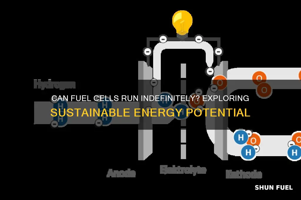 can fuel cells be run indefinitely
