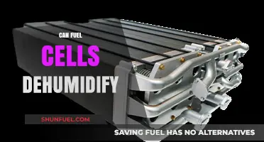 Fuel Cells as Dehumidifiers: Exploring Their Potential for Moisture Control