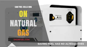Can Fuel Cells Run on Natural Gas? Exploring Viability and Efficiency