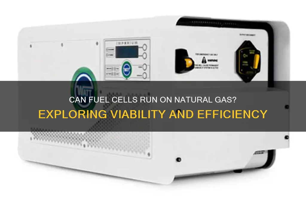 can fuel cells run on natural gas